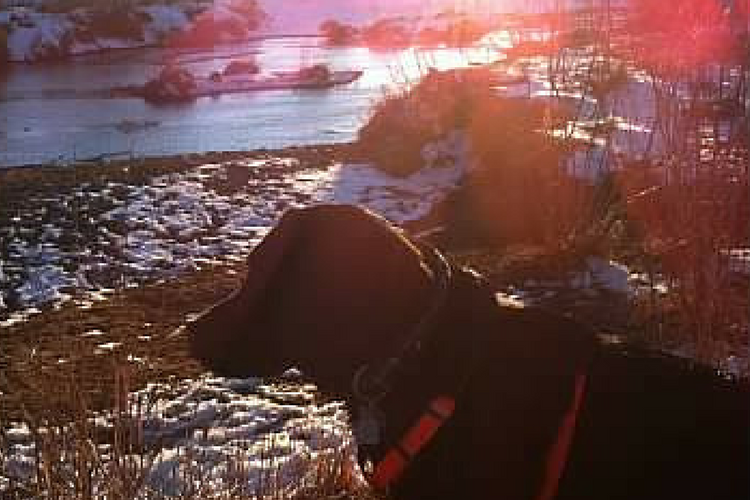 keeping the glass half full