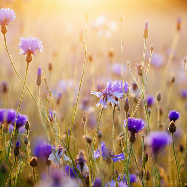 surviving means believing in miracles