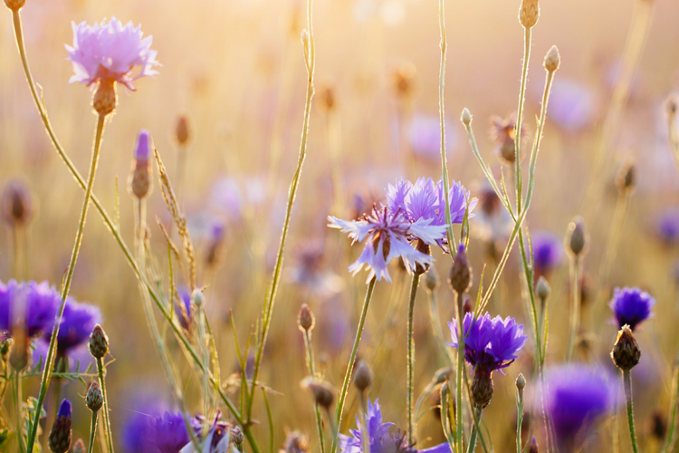 surviving means believing in miracles