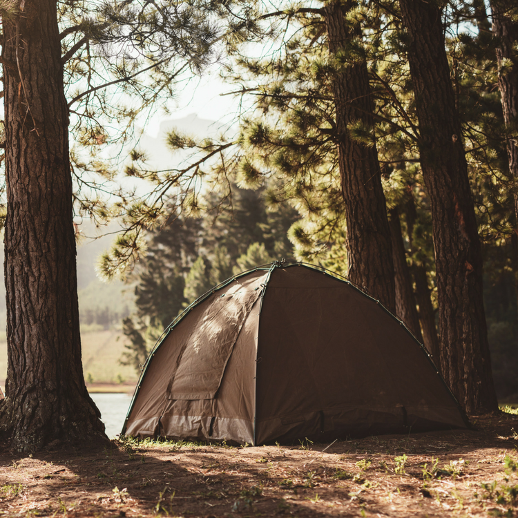 camping with twins