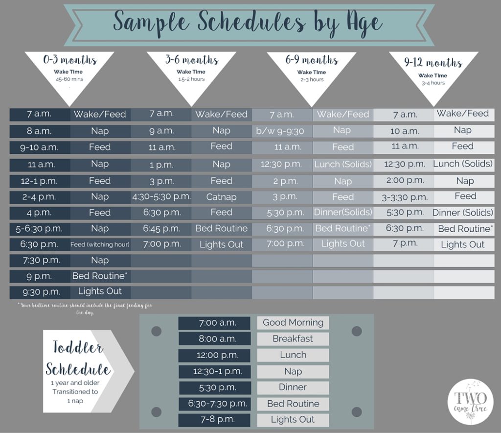 how to organize your day with twins (schedule)