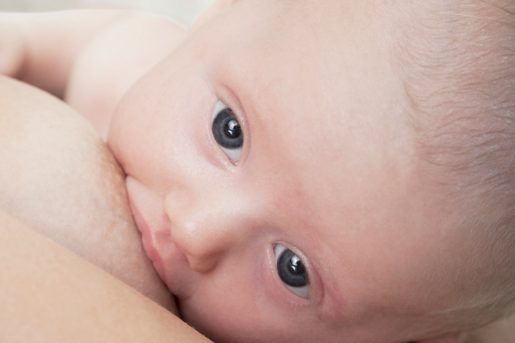 from breast to bottle