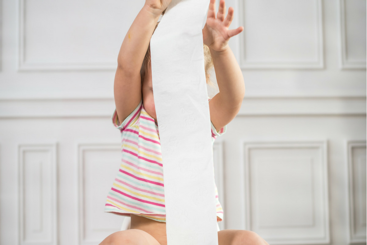 trouble shoot potty training before you begin