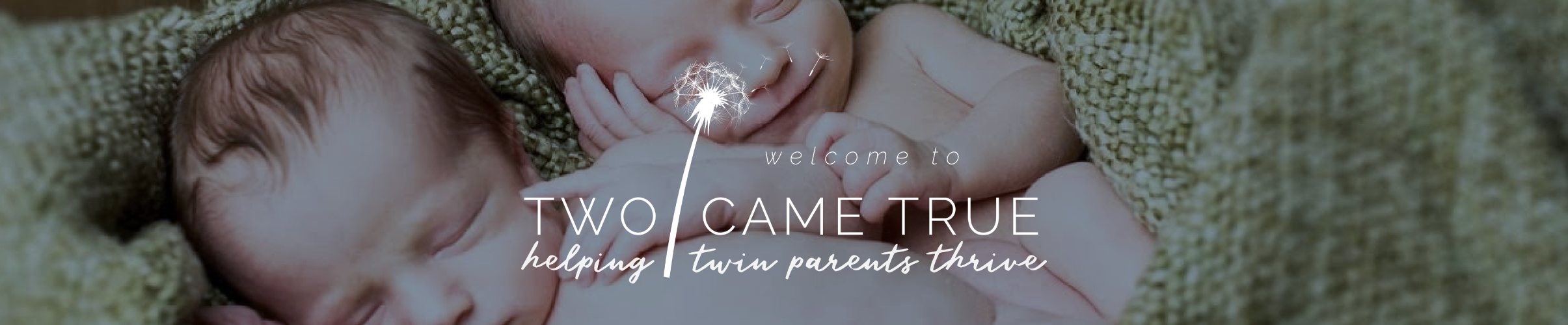 Home - Two Came True - Helping Twin Parents Thrive
